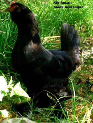 20201222_230521.jpg
