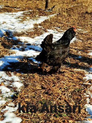 20201227_163103.jpg
