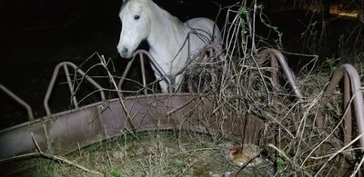 20201227_185122.jpg
