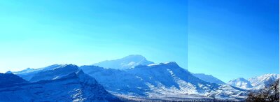 20201228_111059.jpg
