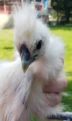 20201229_103655.jpg