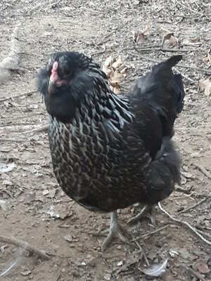 20201227_182322.jpg