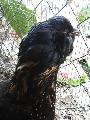 20201224_163607.jpg