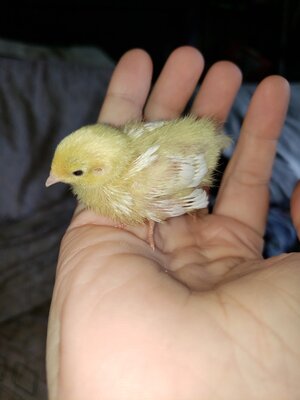 20201230_122645.jpg