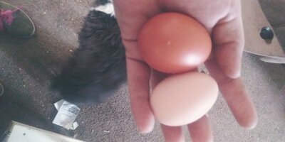 20201231_142911.jpg