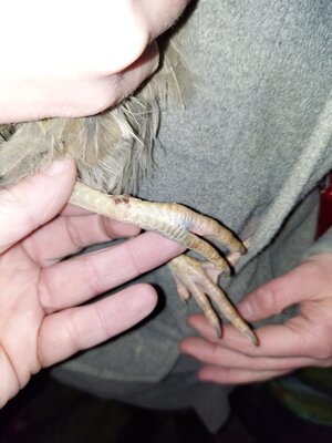 20201229_234444.jpg
