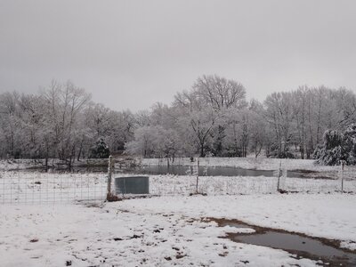 IMG_20210101_164216410.jpg