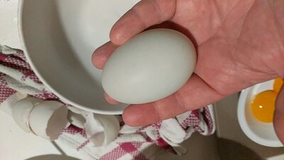 IMG_20210101_183853_902.jpg