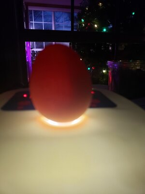 Egg1_Jan2021.jpg