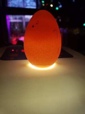 Egg7_Jan2021.jpg