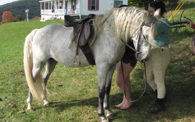 Cropped Gandalf pic.jpg Cropped Gandalf pic.jpg