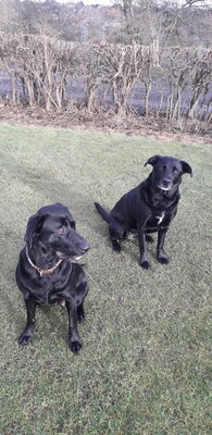 20201230_130620.jpg