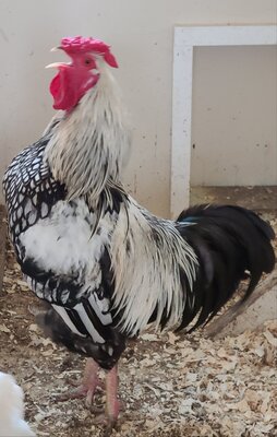 20201209_220324.jpg