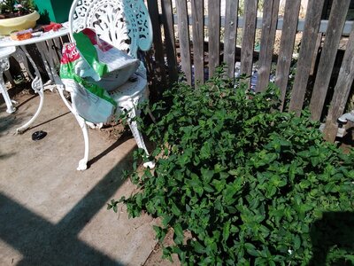 20210109_163330.jpg