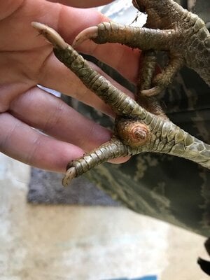 thumbnail_IMG_5423.jpg