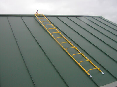 Chicken ladder 3.jpg