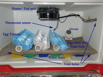 incubator features.jpg incubator features.jpg