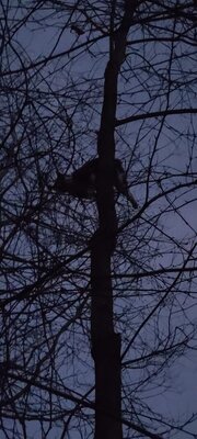 20210109_174224.jpg