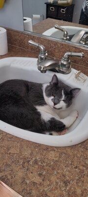 20201225_123911.jpg
