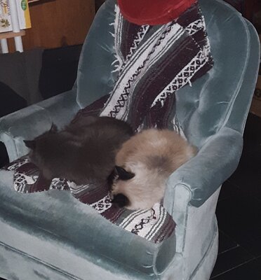 20210109_214059.jpg