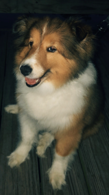 6C33A9F5-EE0F-4577-AB3B-CF27A12A4289.png