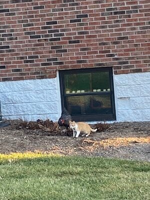 IMG_1288.jpeg IMG_1288.jpeg