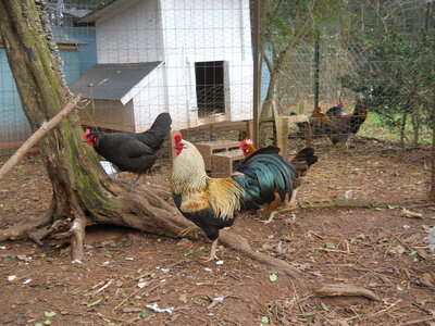 DSCN0794.JPG