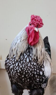20201209_220544.jpg