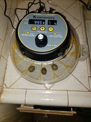 20201104_131537.jpg