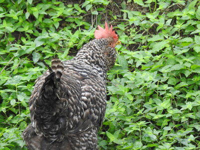 DSCN2840.JPG