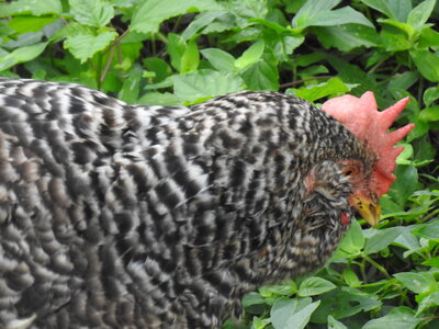 DSCN2842.JPG