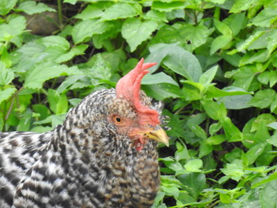 DSCN2843.JPG