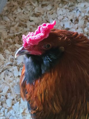 20201120_144603.jpg