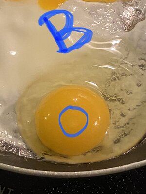 8BA1D752-69D0-4FB4-98D6-B8B8DF506FED.jpeg