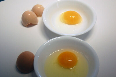 Egg 1 and 2.jpg