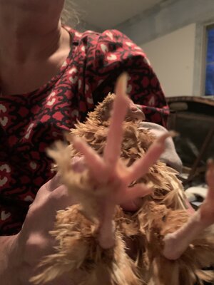 7E79647E-3BEA-45E8-9C67-2DB1F417DE35.jpeg
