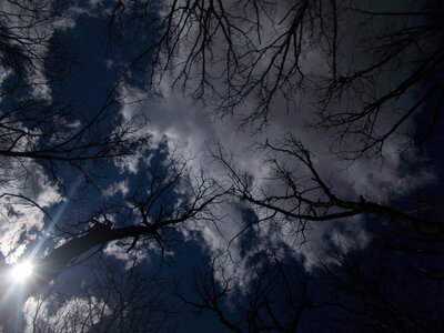 DSCN5038.JPG