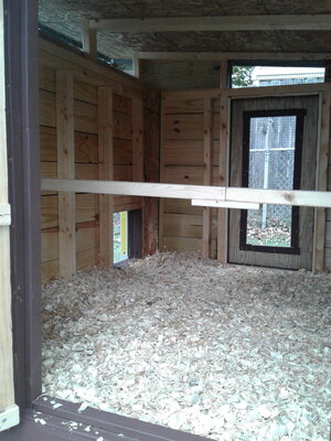 20201024_165815.jpg