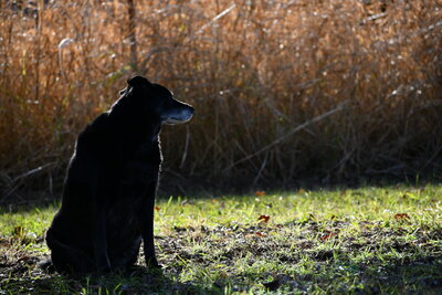 DSC_0377.JPG