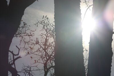 4D05175D-AFB6-4C62-A00A-866CCCEBB1F4.jpeg