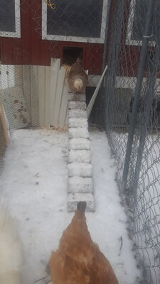 20210128_100124.jpg