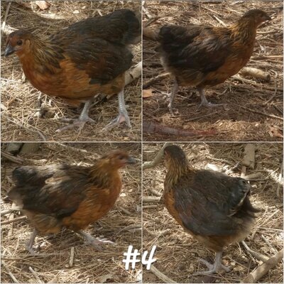 2021-01-31 14.22.09.jpg