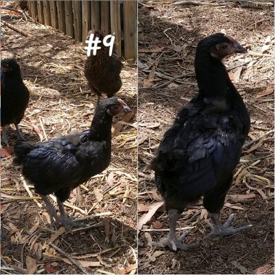 2021-02-01 13.08.48.jpg