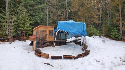 tarp 3.jpg