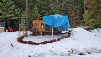 tarp one.jpg