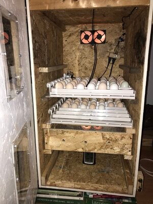 Homemade cabinet incubator