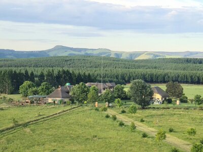 20201219_175219.jpg