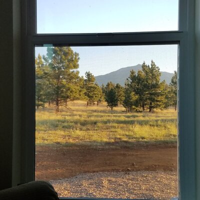 Office View A.jpg