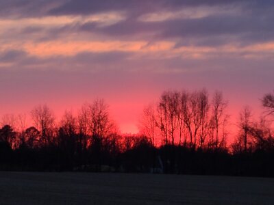 20210203_172908.jpg