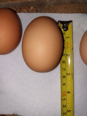 0201211903.jpg